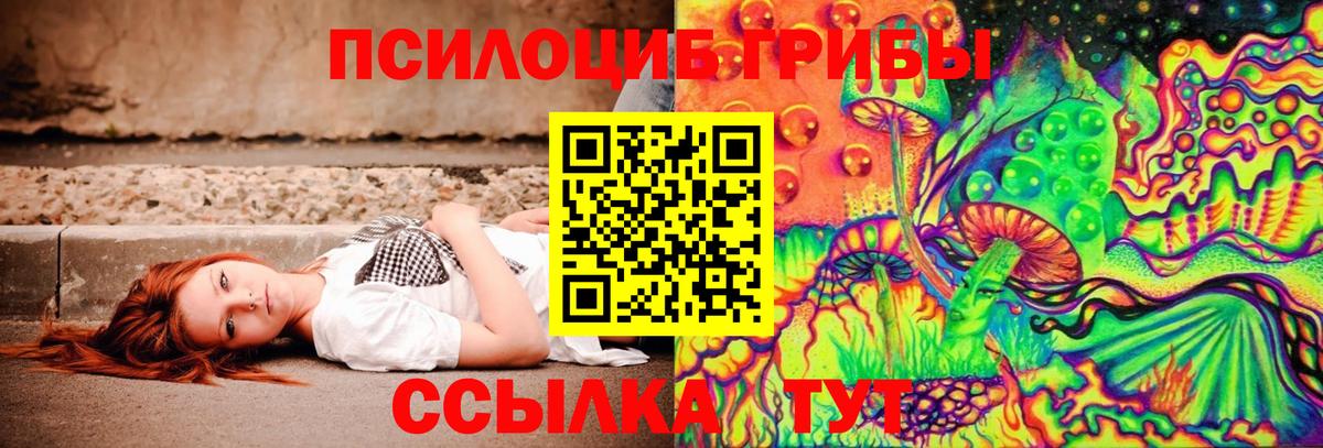Галлюциногенные грибы Cubensis Ипатово
