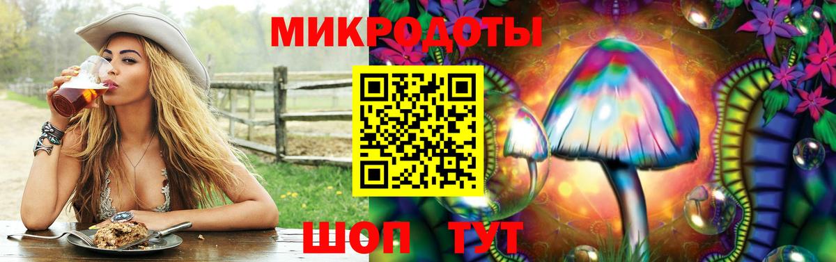 Галлюциногенные грибы Magic Shrooms  Вход с VPN  купить наркоту  Галлюциногенные грибы мицелий  Ипатово 